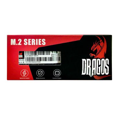 Dragos 1TB NVME Sata3 2243/1594 1TB M2 SSD resmi